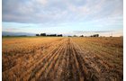 Property photo 4 - LAND & WATER RIGHTS AUCTION - 33+/- ACRES & 67 WATER UNITS/SHARES IN 26 TRACTS IN BOULDER COUNTY, CO